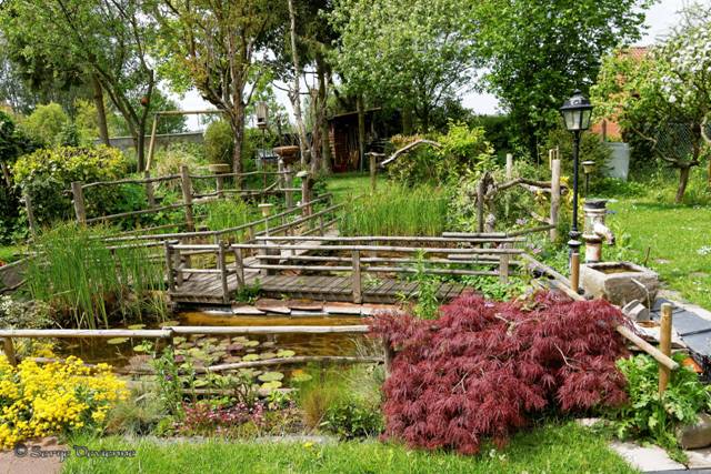 1311Rb05_DSC06466rt_dxo.jpg - Jardin aquatique...