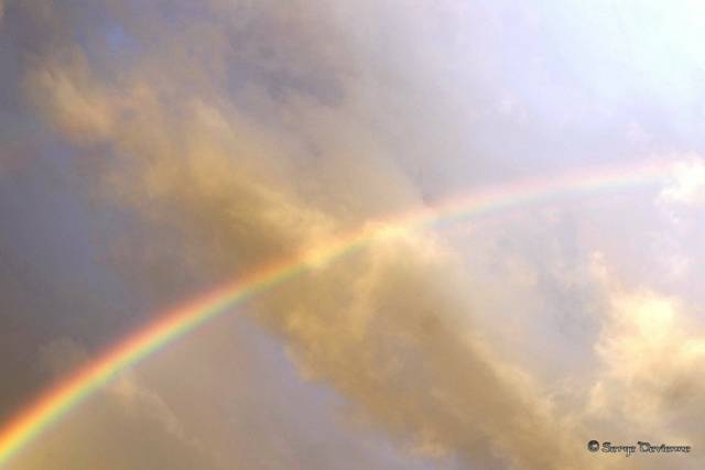 1311Rb41_DSC04576_DxO.jpg - Arc-en-ciel 