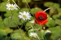 1311RB02_DSC07327_DxO