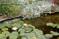 1311Rb20_DSC07309_DxO_GF