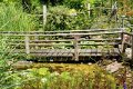 1311Rb25_DSC08576rat_dxo