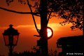 1311Rb29_DSC06197rh_DxO_GF