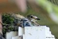1311Rg22_DSC03003ra_DxO_GF