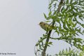 1311Rg40_DSC06817rz_DxO_GF
