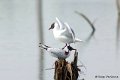 1311Rg54_DSC06360ra_DxO_GF