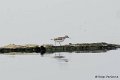 1311Rg64_DSC06345a_DxO_GF