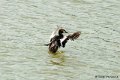 1311Rg72_DSC09722r_dxo_GF