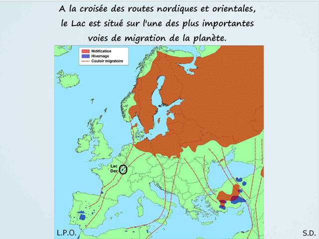 b01_derinfo2bgw.jpg