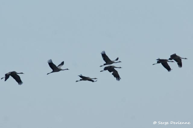 b14_DSC07881_DxO_GF.jpg