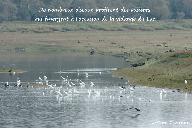 c01_DSC07916t_DxOgw_GF.jpg