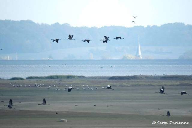 d08_DSC07515r_DxO_GF.jpg