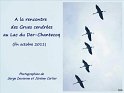 a00_dertitre