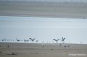 b09_DSC07821r_DxO_GF