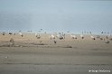 b09_DSC07827r_DxO_GF