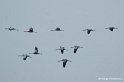b14_DSC07869r_DxO_GF
