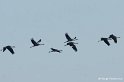 b14_DSC07881_DxO_GF