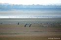 d06_DSC07513r_DxO_GF