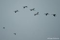 e07_DSC07407r_DxO_GF
