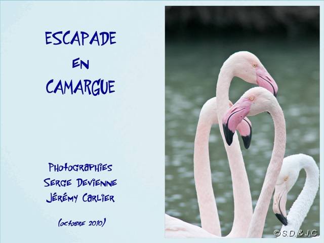 00_camarguetitre.jpg