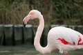 05_Camargue-093