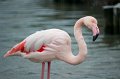 08_Camargue-094