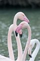 08_Camargue-121