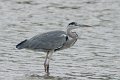 20_Camargue-100