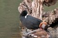 23_Camargue-084