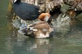 23_Camargue-086