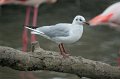 24_Camargue-097