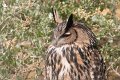 25_Camargue-076