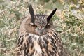 25_Camargue-077