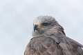 25_Camargue-078