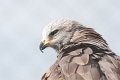 25_Camargue-079