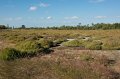 30_Camargue-145