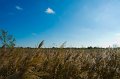 30_Camargue-148