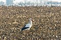 DSC07522_DxOa