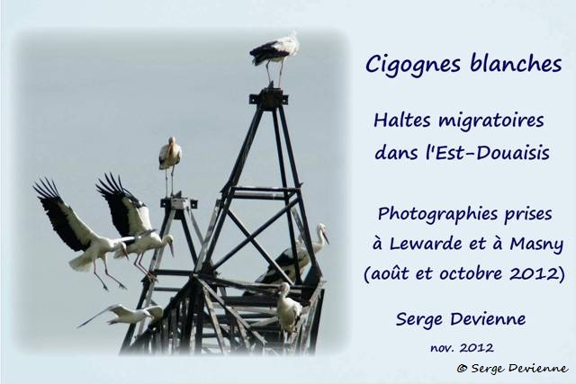 00_cigogne_titre2_GF.jpg