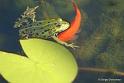 bagv_DSC07425i
