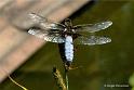 ilde_DSC06178m