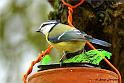 GOmeb_DSC09893ddtxw