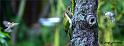 GOpiv_DSC09516datxgw