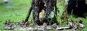 GOpiv_DSC09537dtxgw