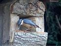 GOsit_DSC00034lctw