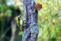 opve_DSC08420d