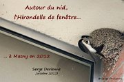 00_DSC02648rzt_DxO_GF