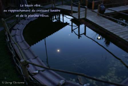 baga1__DSC04486tx.jpg - Le bassin rêve...  au rapprochement du croissant lunaire et de la planète Vénus.