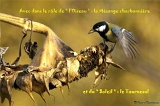 05DSC08699_1dtx