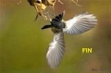 95DSC09094_1dtx