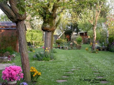 DSCN7118atw.jpg - Le jardin au printemps